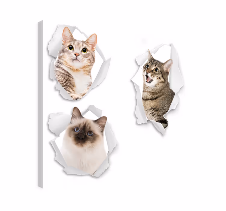 Quadro gatto gattini trompe l'oeil - TenStickers