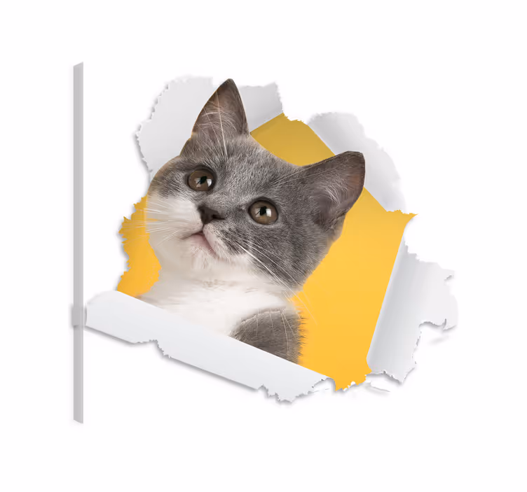 Quadro gatto adesivo 3d di gatto - TenStickers