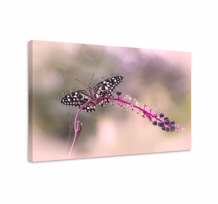Dipinto farfalle farfalla viola - TenStickers