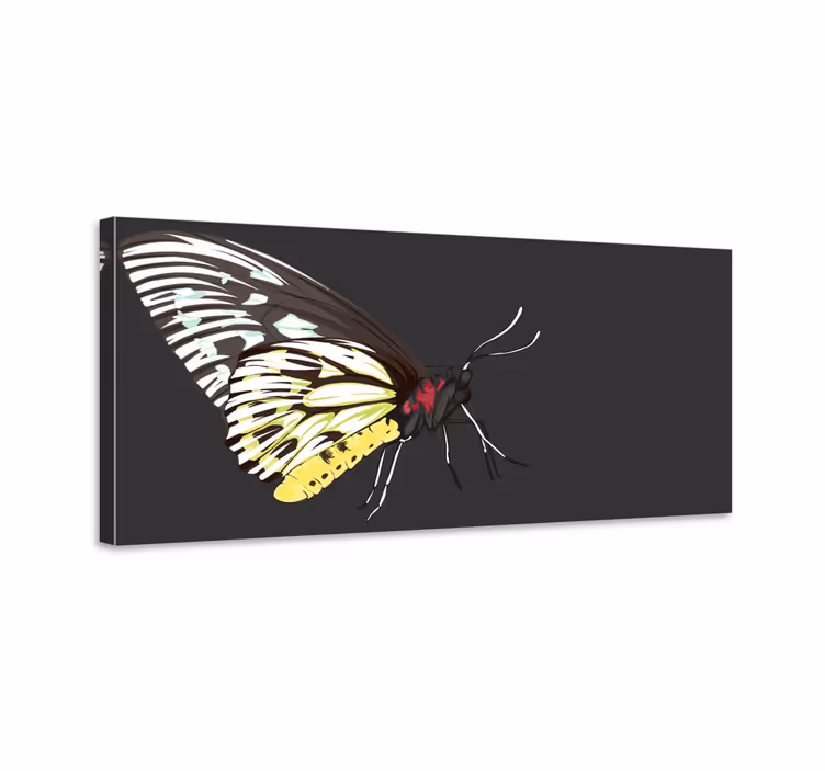 Dipinto farfalle farfalla gialla realistica dettagliata - TenStickers