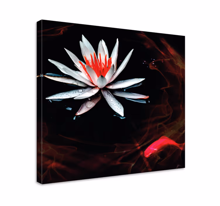Dipinto fiori e piante loto sull'acqua - TenStickers