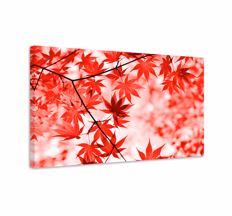 Dipinto fiori e piante foglie di acero rosso vivo - TenStickers