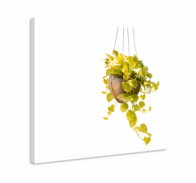 Dipinto fiori e piante composizione di verde appesa - TenStickers