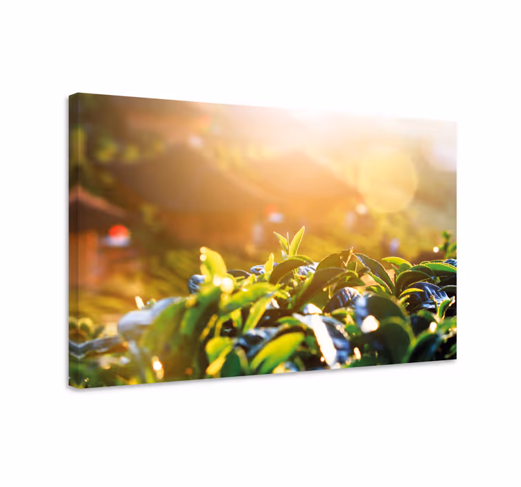 Dipinto fiori e piante foglie di tè del mattino - TenStickers