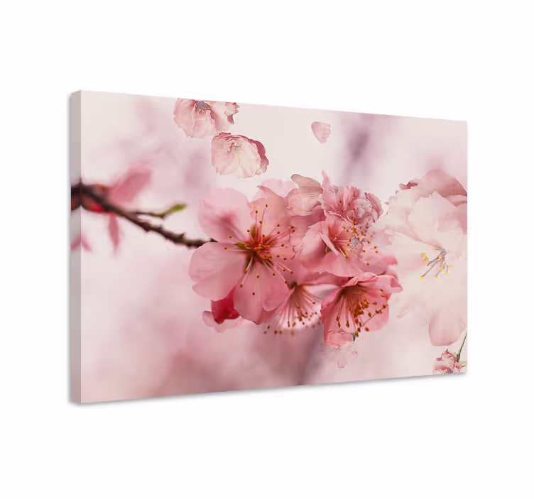 Dipinto fiori e piante fiori di ciliegio in fiore - TenStickers