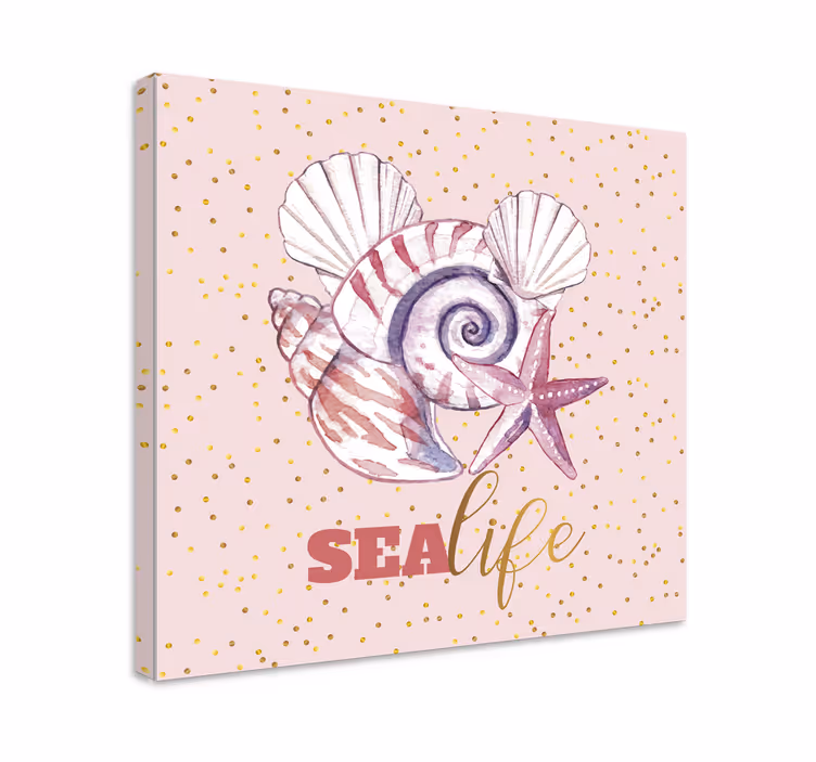 Dipinto marinaio con conchiglie e stelle marine - TenStickers