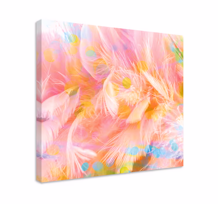 Quadro penna motivi di piume delicate - TenStickers
