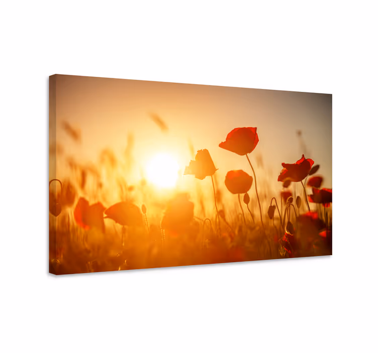 Dipinto fiori e piante luce di campo di papaveri - TenStickers