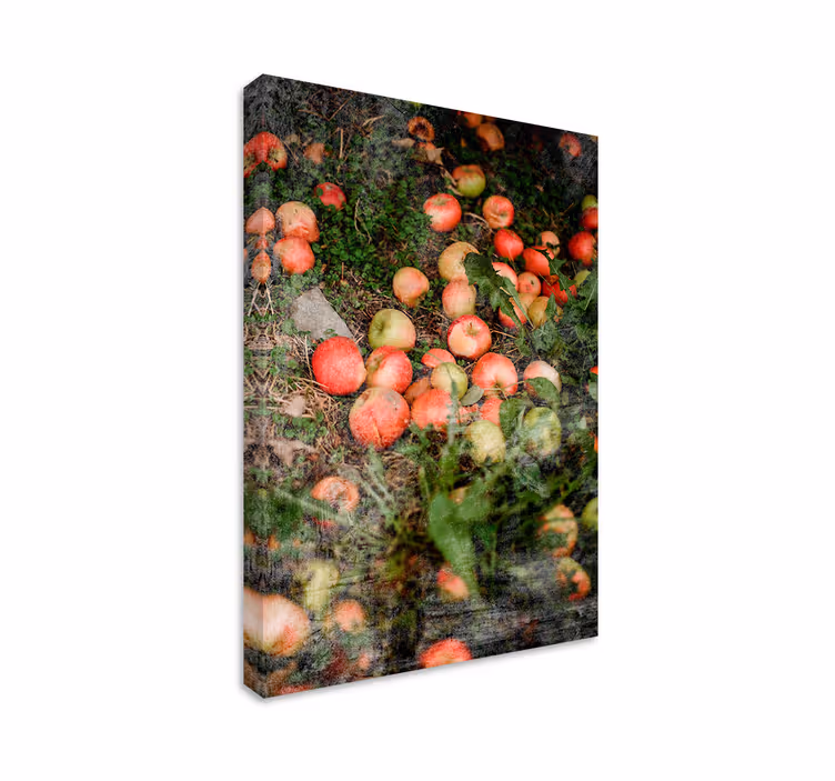 Dipinto frutta e natura morta mele che cadono - TenStickers
