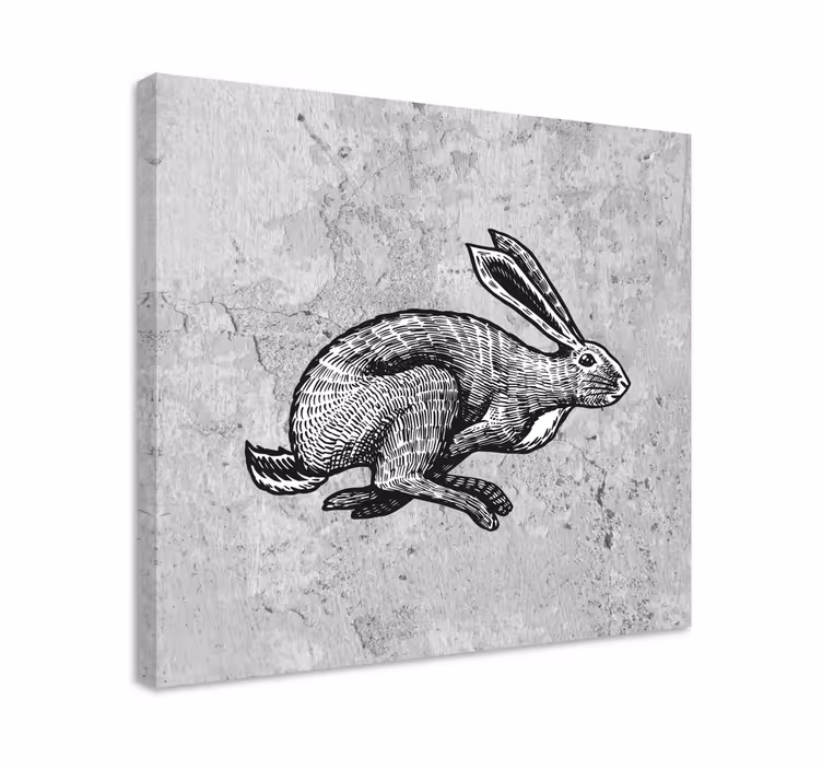 Quadro con animali e insetti design coniglio corrente - TenStickers