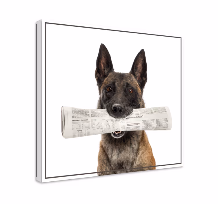 Dipinto cane che porta un giornale - TenStickers