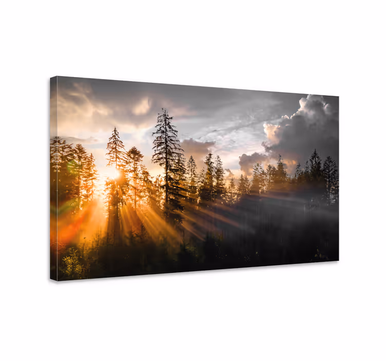 Quadro di paesaggio Foresta con nebbia e sole - TenStickers