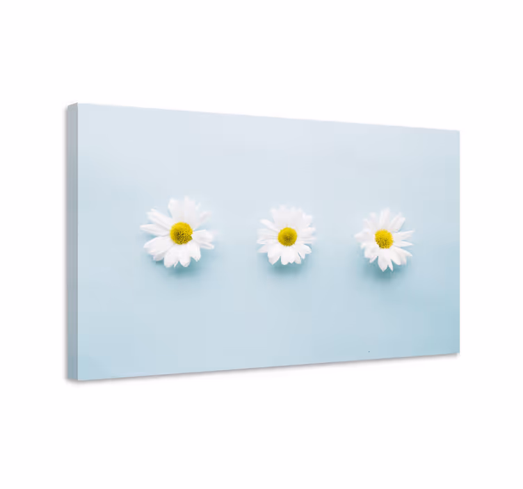 Dipinto fiori e piante trio di margherite - TenStickers