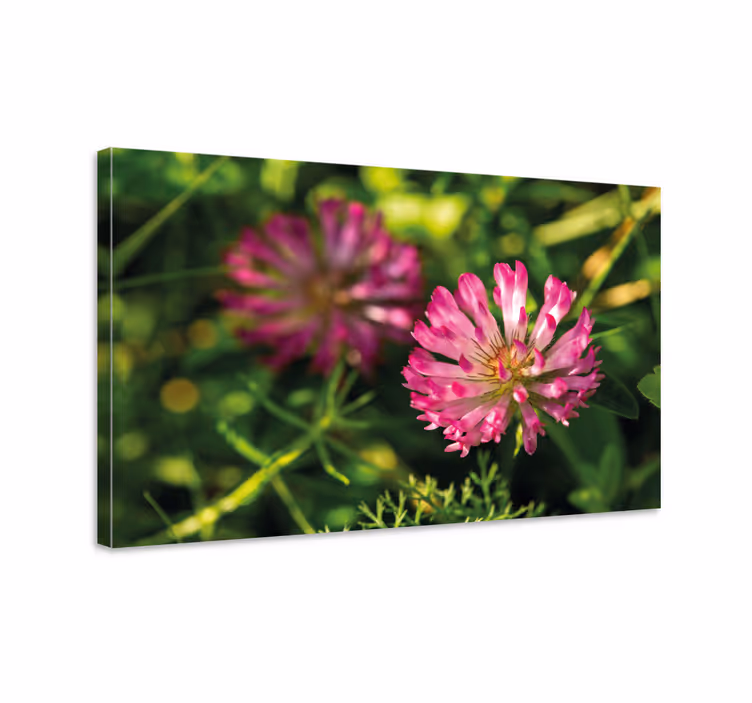 Dipinto fiori e piante mazzo di fiori rosa - TenStickers