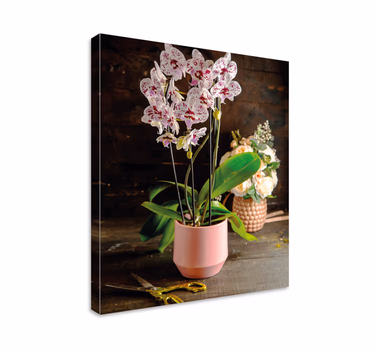 Dipinto fiori e piante disposizione delle orchidee - TenStickers