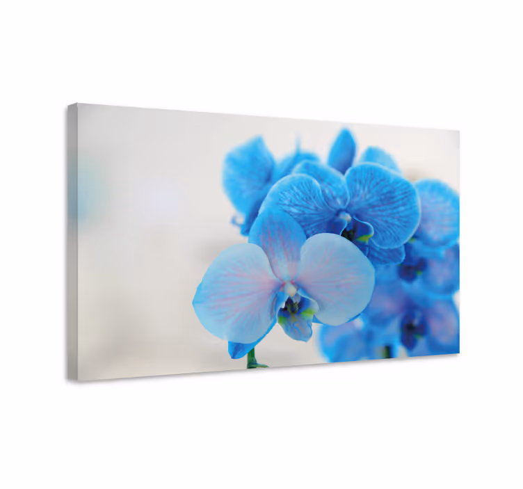 Dipinto fiori e piante fioritura di orchidee blu - TenStickers