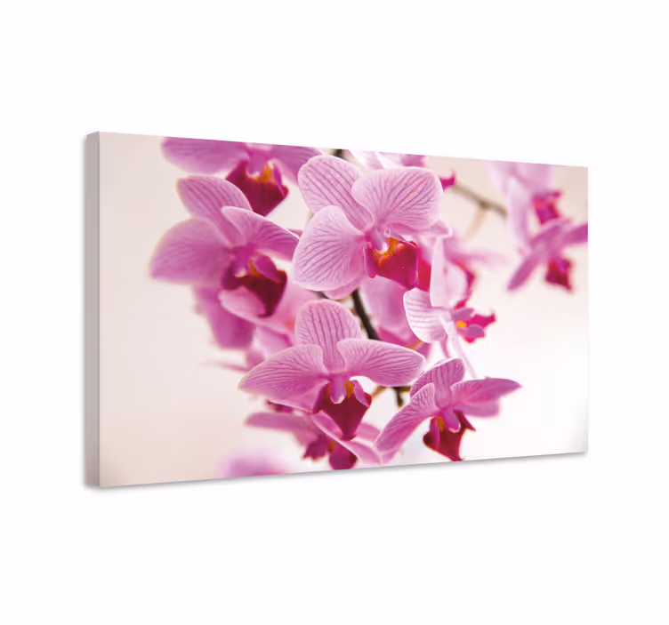 Dipinto fiori e piante fiori di orchidea delicati - TenStickers