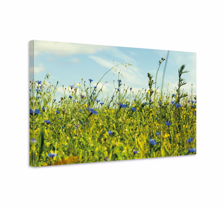 Dipinto fiori e piante scena di prato fiorito - TenStickers