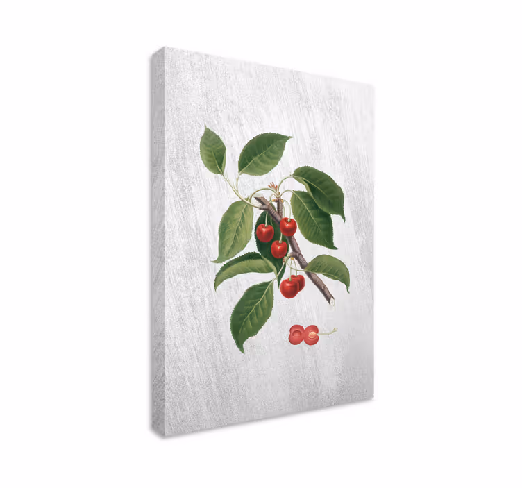 Dipinto frutta e natura morta particolare ramo di ciliegio - TenStickers