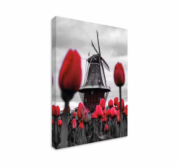 Quadro paesaggio mulino e tulipani - TenStickers