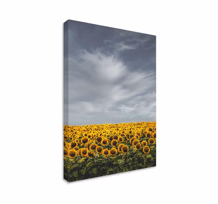 Dipinto fiori e piante prato di girasoli - TenStickers