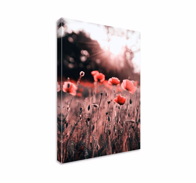 Dipinto fiori e piante radianza del campo di papaveri - TenStickers