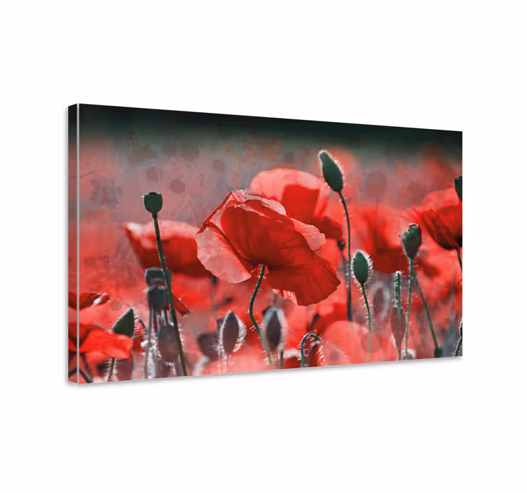 Quadro con fiori Campo di papaveri rossi e verdi - TenStickers