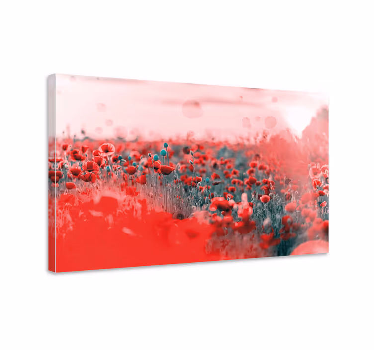 Dipinto fiori prato di papaveri vivace - TenStickers
