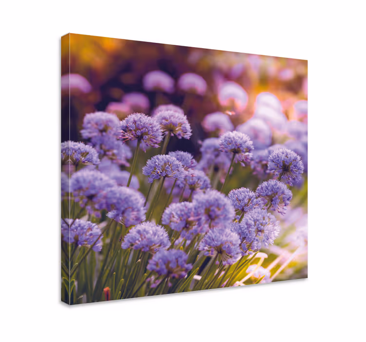 Dipinto fiori e piante fioriture viola vivaci - TenStickers