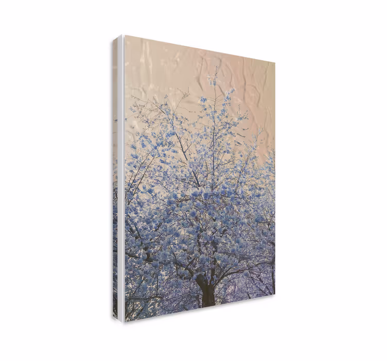 Dipinto fiori rami in fiore - TenStickers