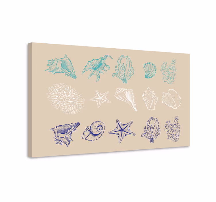 Dipinto marinaio collezione di conchiglie costiere - TenStickers
