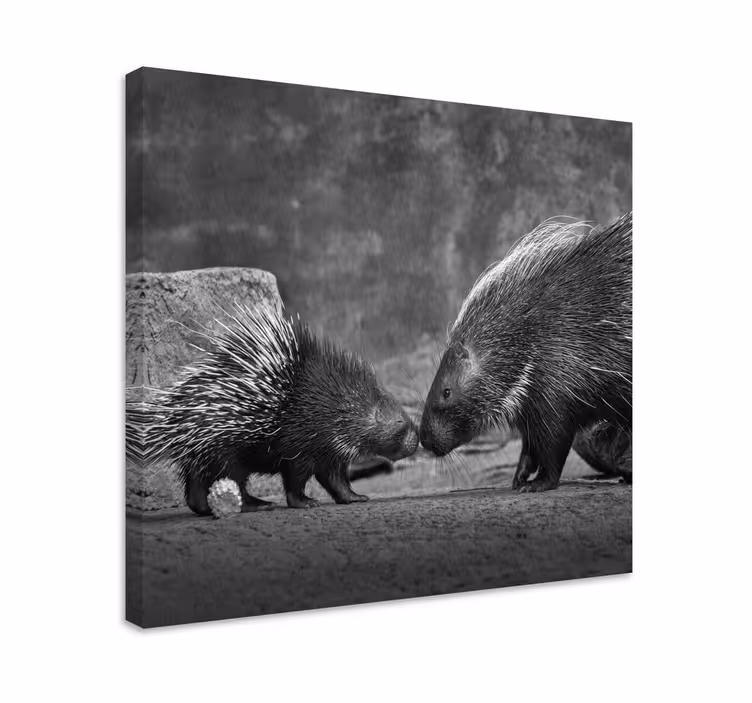Quadro con animali e insetti interazione con il porcospino - TenStickers