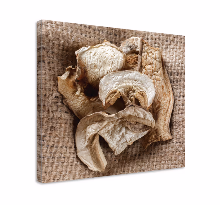 Dipinto fiori e piante composizione di funghi secchi - TenStickers