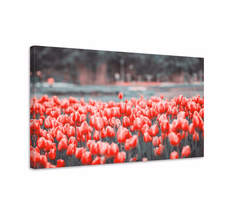 Dipinto fiori e piante campo di tulipani vivaci - TenStickers