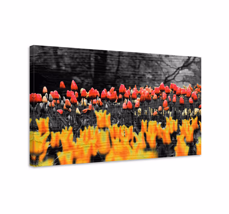 Dipinto fiori e piante giardino di tulipani colorati - TenStickers