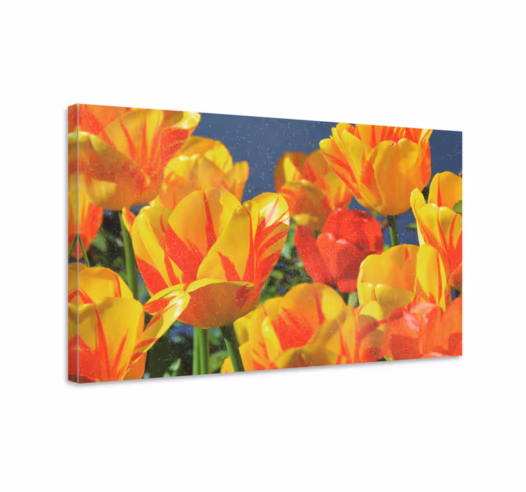 Dipinto fiori e piante fiori di tulipano vibranti - TenStickers