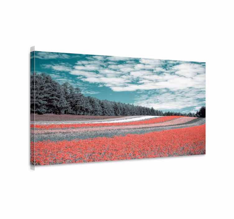 Quadro paesaggio campo di fiori vibranti - TenStickers