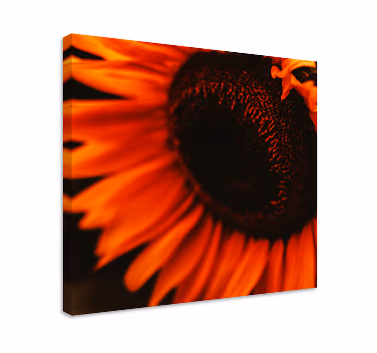 Dipinto fiori e piante fiore di girasole radioso - TenStickers