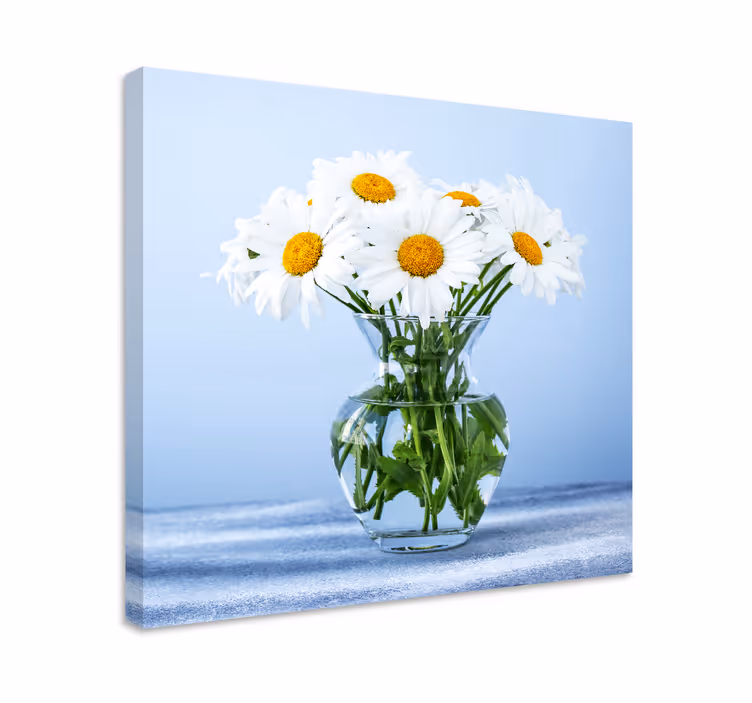 Dipinto fiori e piante margherite in vetro - TenStickers