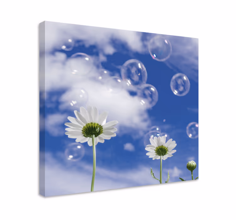 Dipinto fiori e piante margherite e bolle - TenStickers