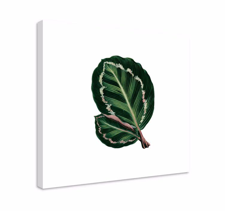 Dipinto fiori e piante design a grandi foglie - TenStickers