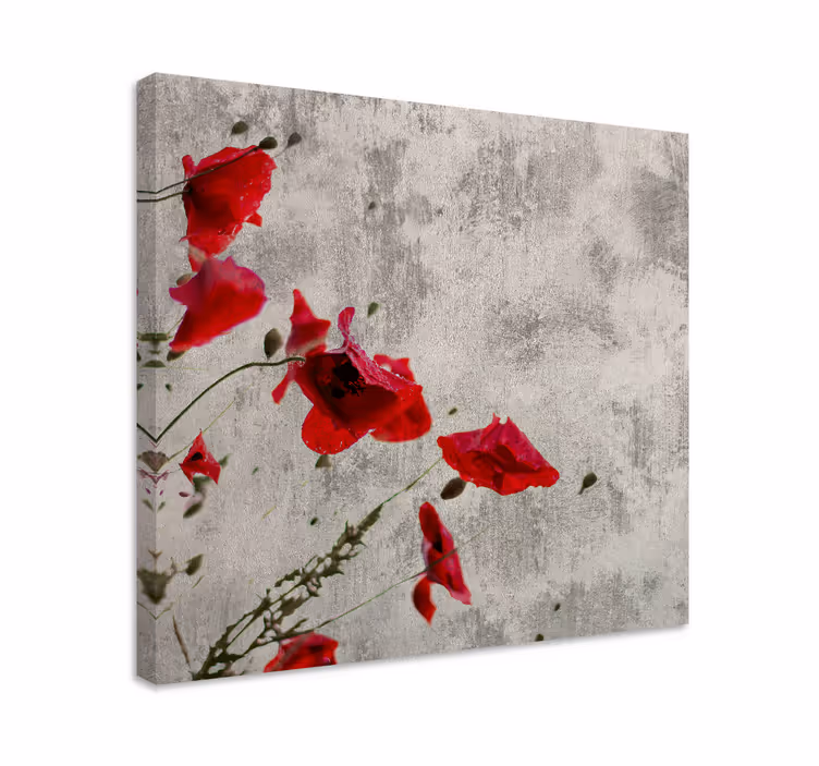 Dipinto fiori e piante fioriture di papaveri rossi - TenStickers