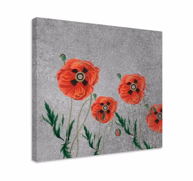 Dipinto fiori e piante fioriture di papaveri vivaci - TenStickers
