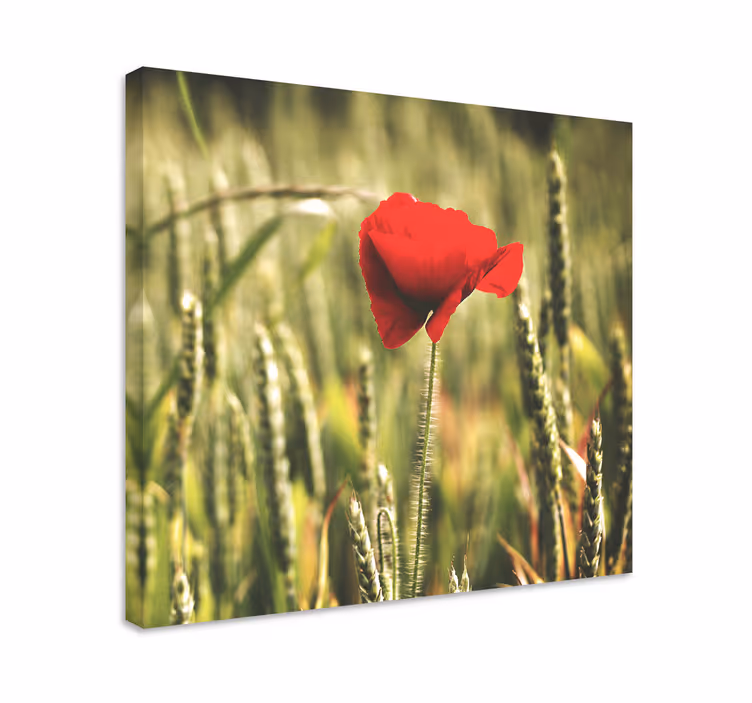 Dipinto fiori e piante fioritura di fiori rossi - TenStickers