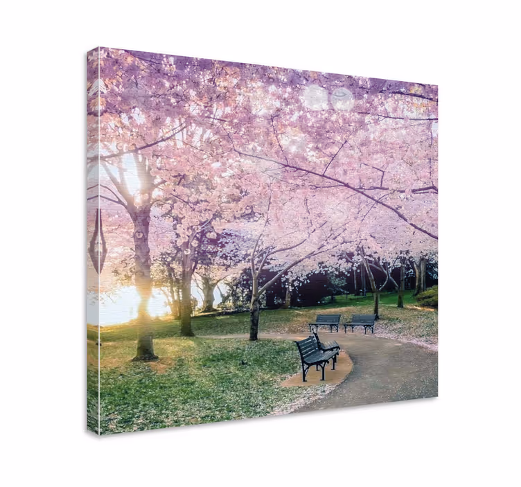 Dipinto fiori e piante sentiero di fiori di ciliegio - TenStickers