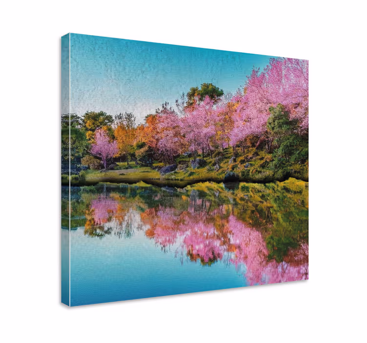 Quadro paesaggio riflesso dei fiori di ciliegio - TenStickers