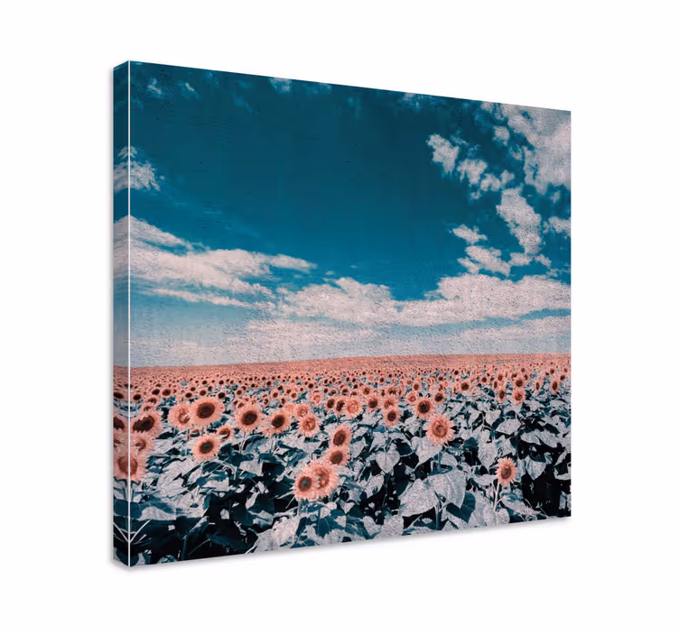Dipinto fiori e piante orizzonte campo di girasoli - TenStickers