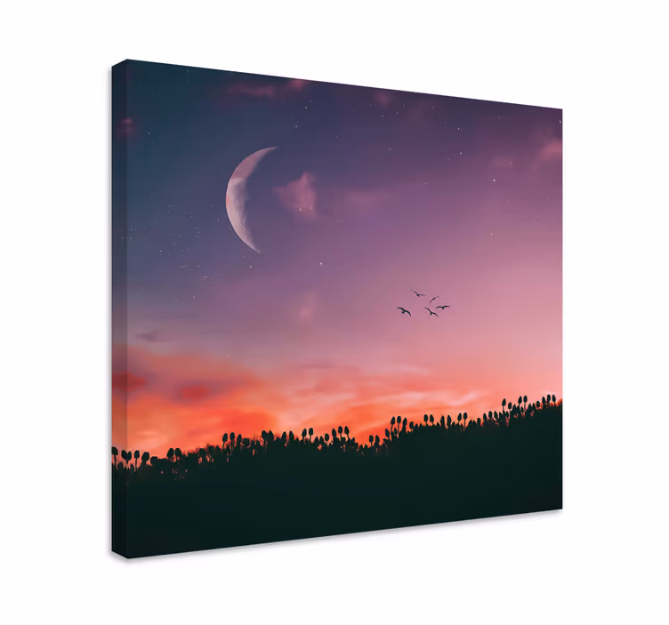 Quadro paesaggio cielo al chiaro di luna - TenStickers