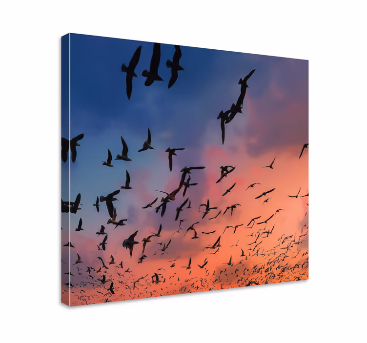 Quadro con uccelli stormo di uccelli - TenStickers
