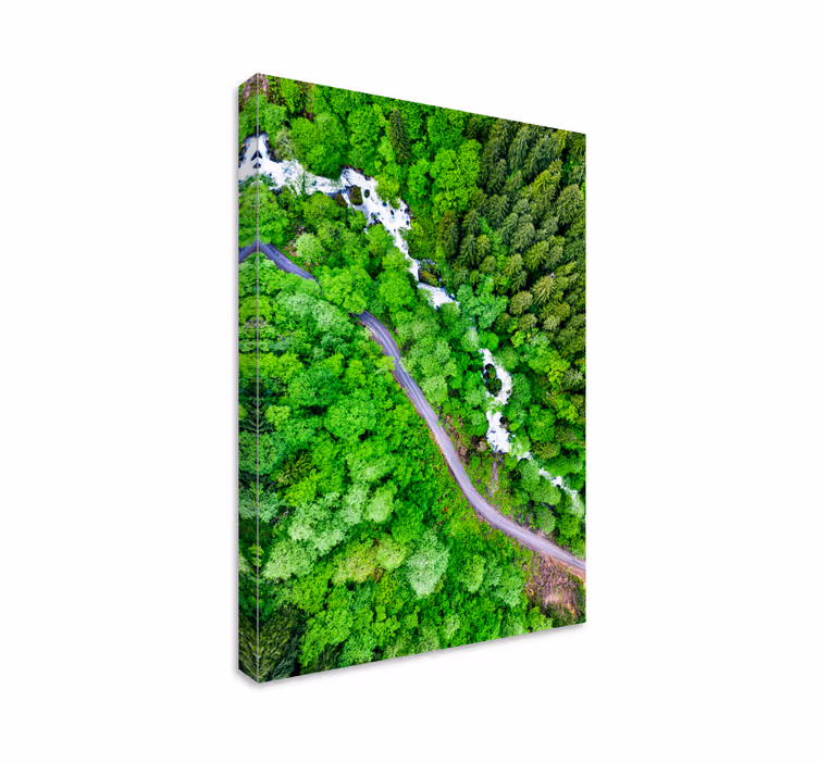 Quadro paesaggio fiume forestale tortuoso - TenStickers